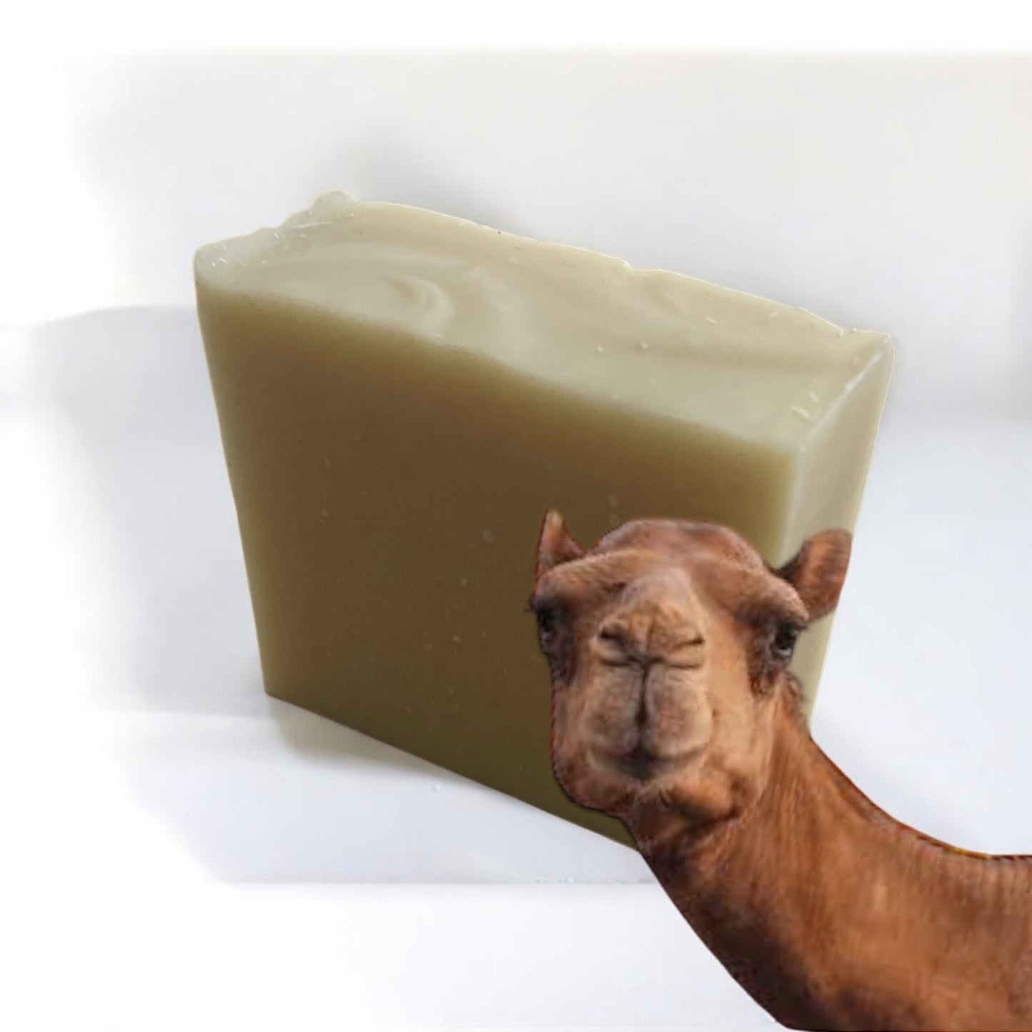 Camel Milk Soap: helps protect the skin from daily aggressions