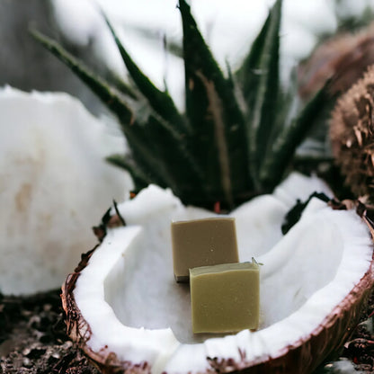 Seife mit Aloe Vera und Neem: unvergleichliche Weichheit für empfindliche Haut