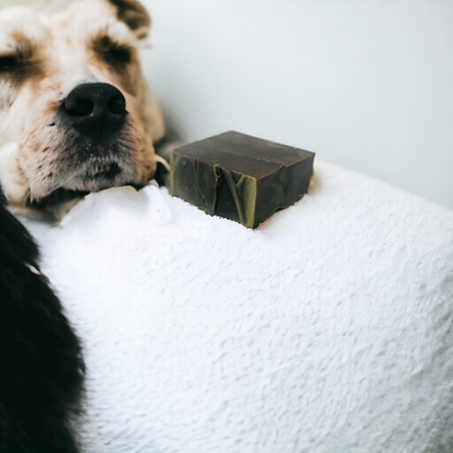 Shampoing pour chien à l'huile de Neem et aux huiles essentielles