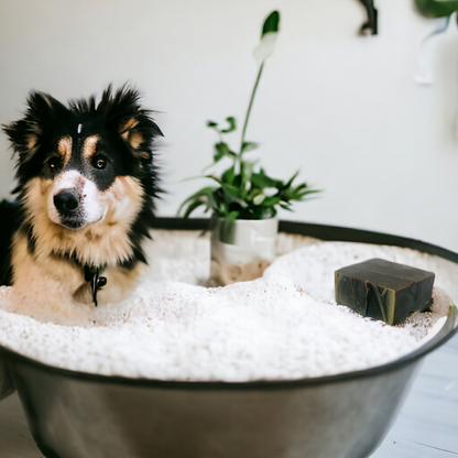Hundeshampoo mit Neemöl und ätherischen Ölen 