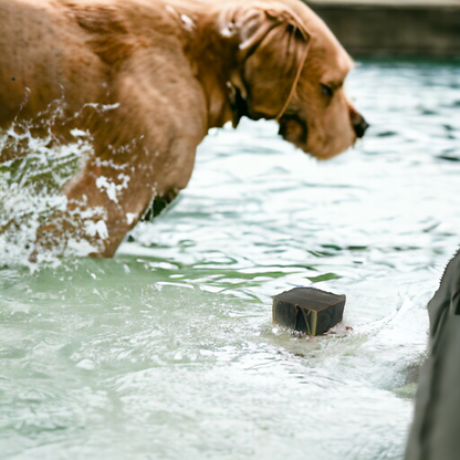 Shampoing pour chien à l'huile de Neem et aux huiles essentielles