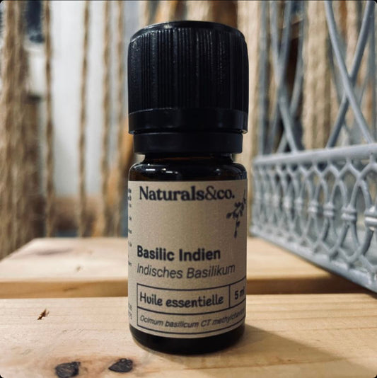 Indian Basil essential oil